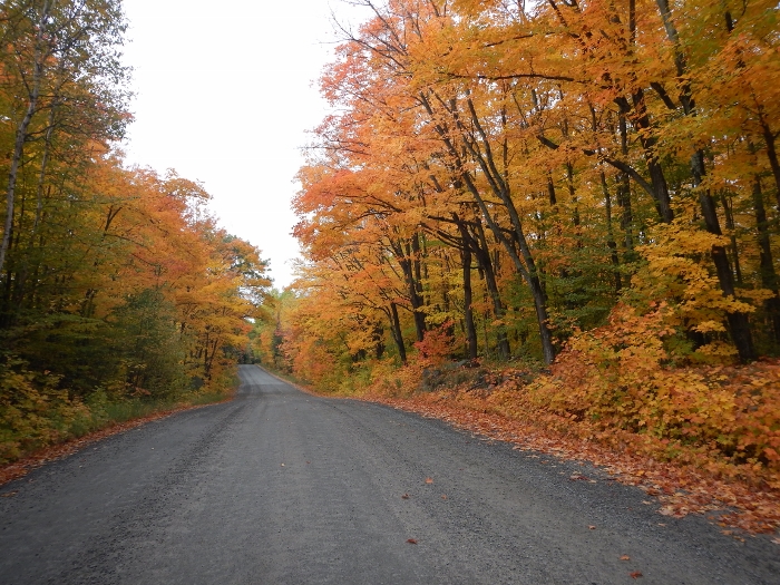 2016 Fall Colours as seen through the windshield