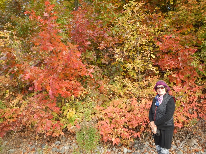 2016 Sturgeon Falls Kathy & Colour
