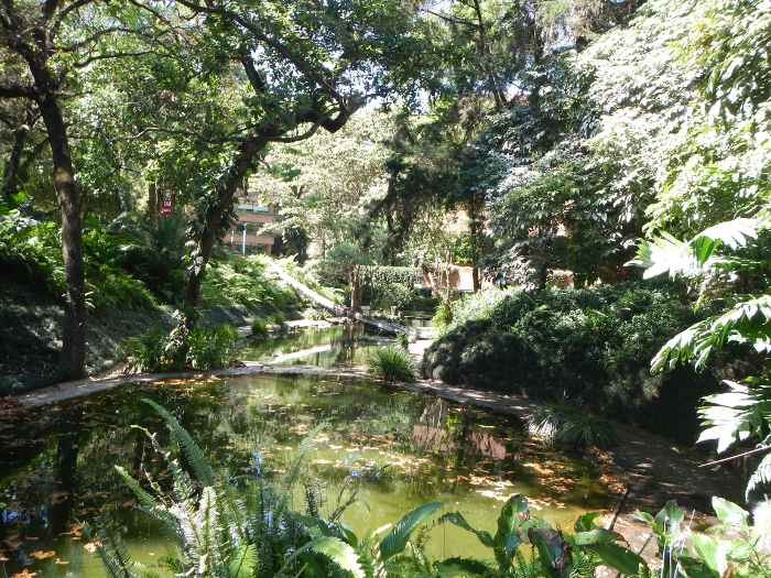 2017 Guat City on University Campus a peacefull meditation
      spot