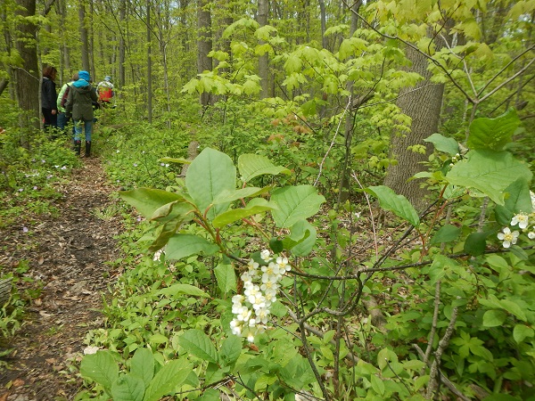 2017 We had an outing to the Maundaumin Preservation
        Conservation Area