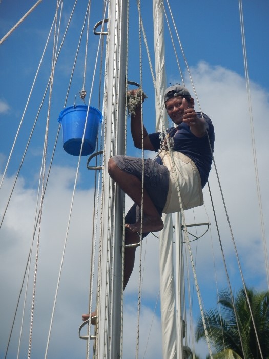2017 Rio Cat Marvin cleans the Mast of Tundra incl the bird
      est