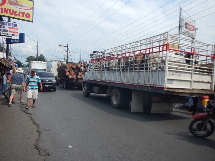 2017 Rio Dulce The busy Main Street