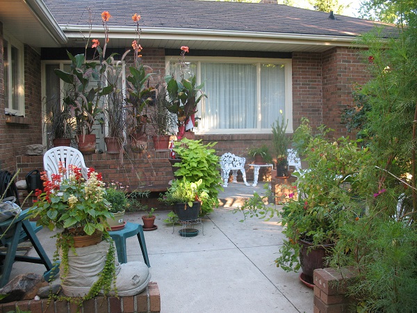 2010 BCt Sept 24 Back Door garden in fall view