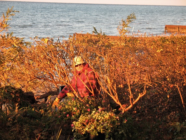 2010BCt Nov 2 Brian Playing in the roughage