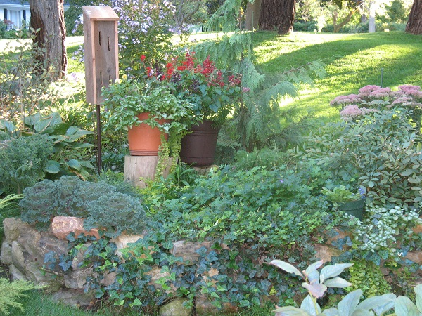 2010 BCt Curb
      Garden Sept 14