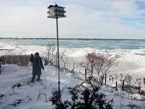 2018 RE kathy stands in the snowy rougage jJan 2