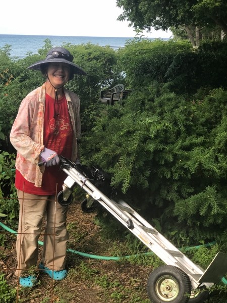 2019 Kathy pushing the card bringing our materials