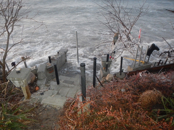 2019 Feb wind storm as viewed from the cement stairs