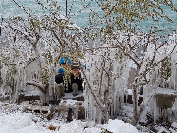 2019 Rod & Titania peek through the ice