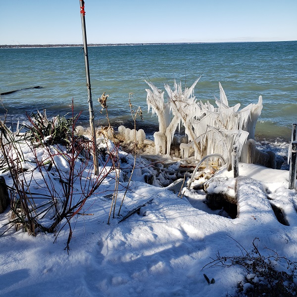 2020 Jan 20 Our Iced Beach Looking North