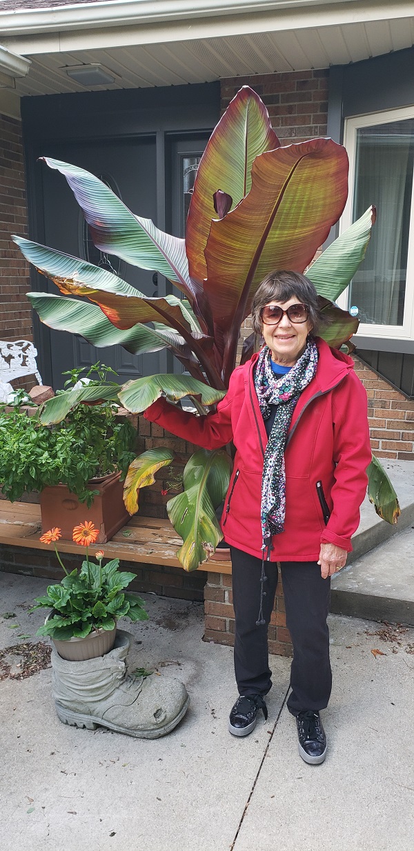 2023 BC Kathy with banana plant
