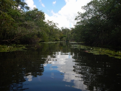 A
        dinghy cruise down a canal at Burnt Cay in the Rio