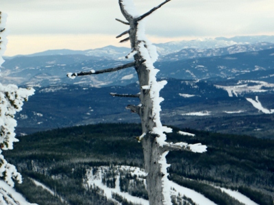 2012 BC Oliver A view from the top of Mount Baldy
            looking West