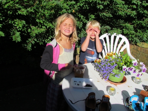 2013
        Beacon Court Madi on the beach