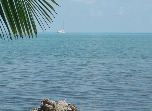 In the distant Tundra is anchored in
            her Coral Garden adjacent to the next Cay