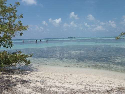 Guests at the dive
                            resort go for a swim from the beach