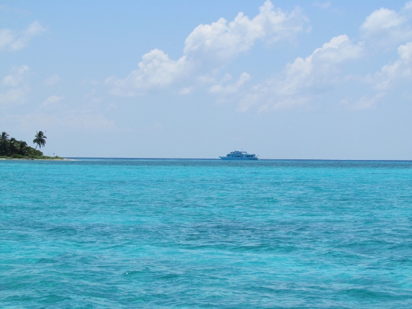 One of many dive boats that are common along Light
                House Reef