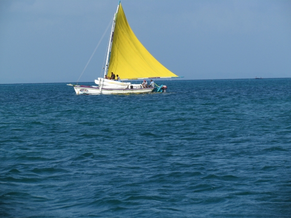 Again we sight colourful sails of
                local fishermen enroute