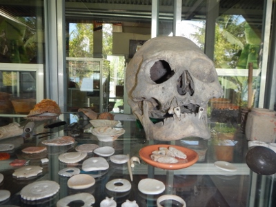 A rare Mayan skull showing their level of
          Dentistry that they evolved to during their period