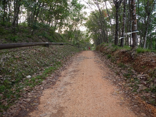 A different view of our
        hiking trail